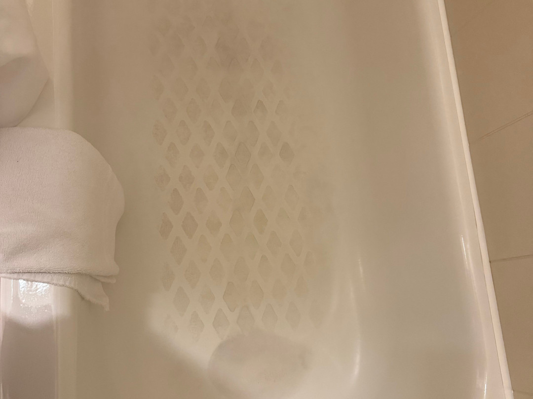 Courtyard by Marriott Norfolk Downtown主图