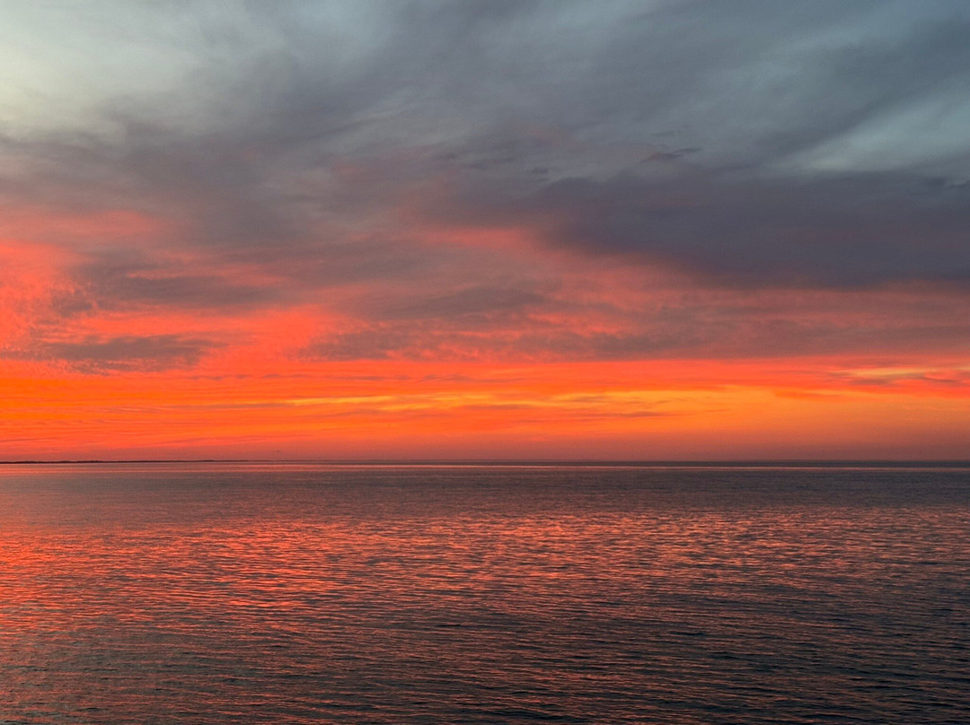 Cape Water Tours-刘易斯必去景点