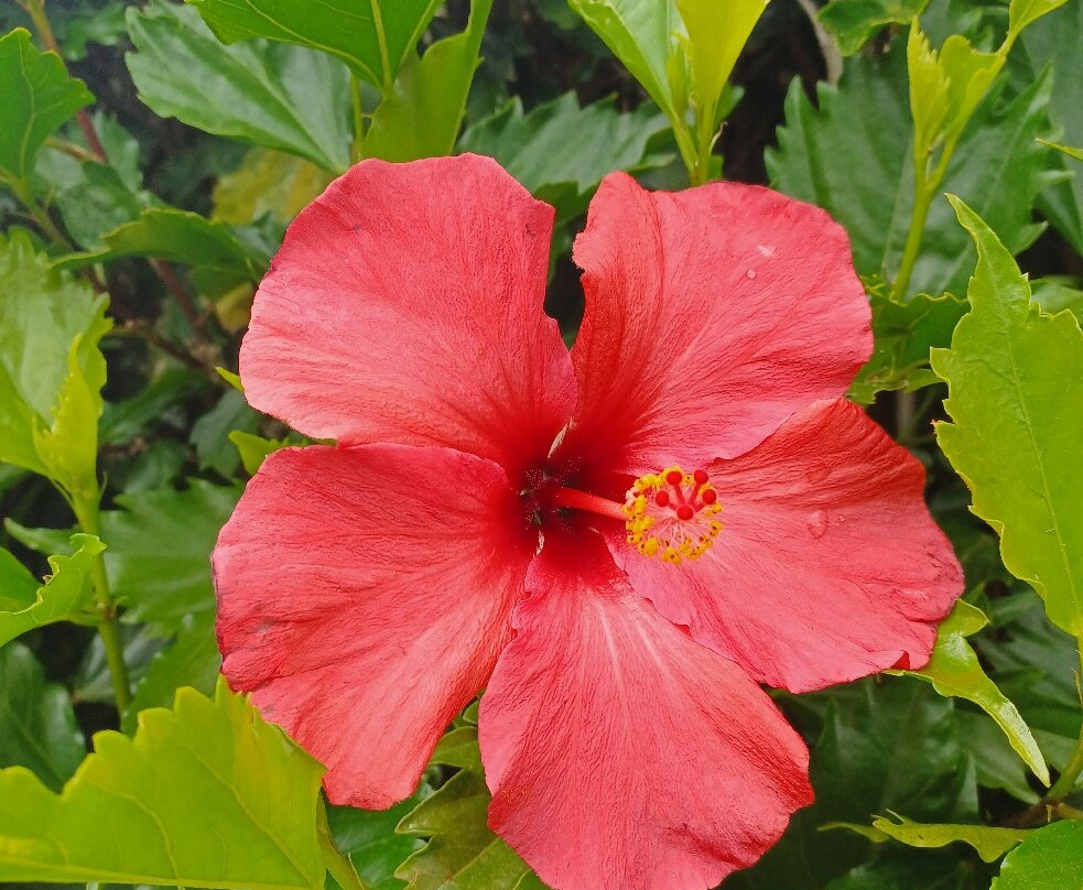 Richards Travel Lodge主图