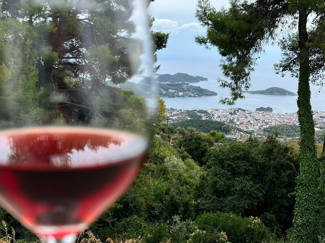 Parissis Winery-斯亚索斯必去景点