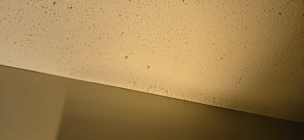 Isle of Capri Casino Hotel Boonville-官方