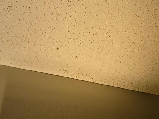 Isle of Capri Casino Hotel Boonville主图