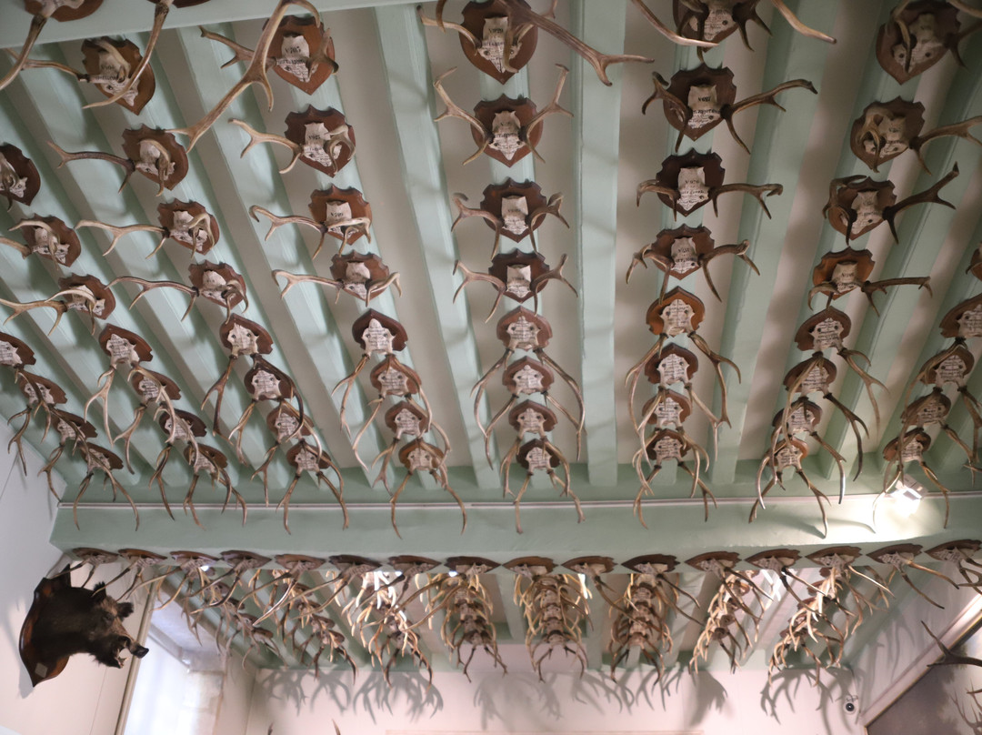 Musée de la Vénerie-桑利斯必去景点