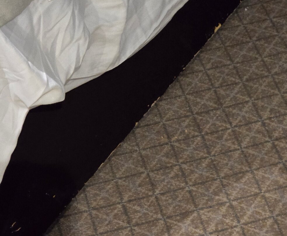 The Abbey Golf Course-雷迪奇必去景点