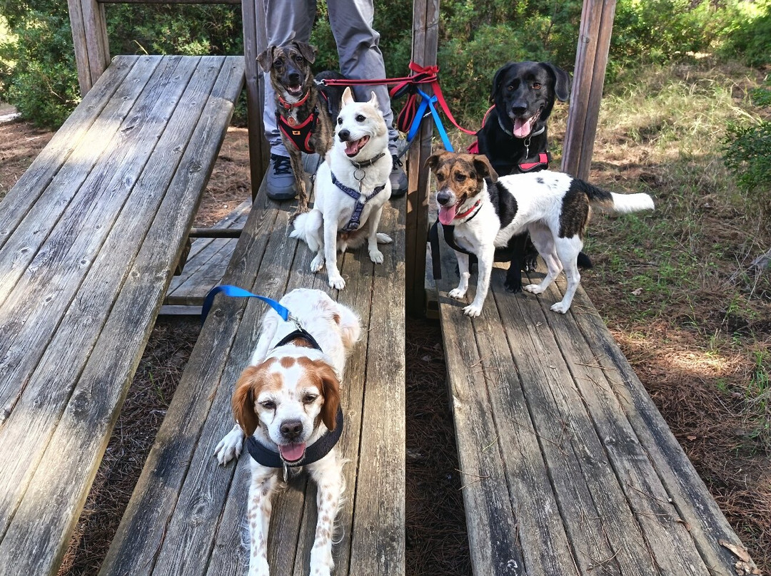 La Feniglia-奥尔贝泰洛必去景点