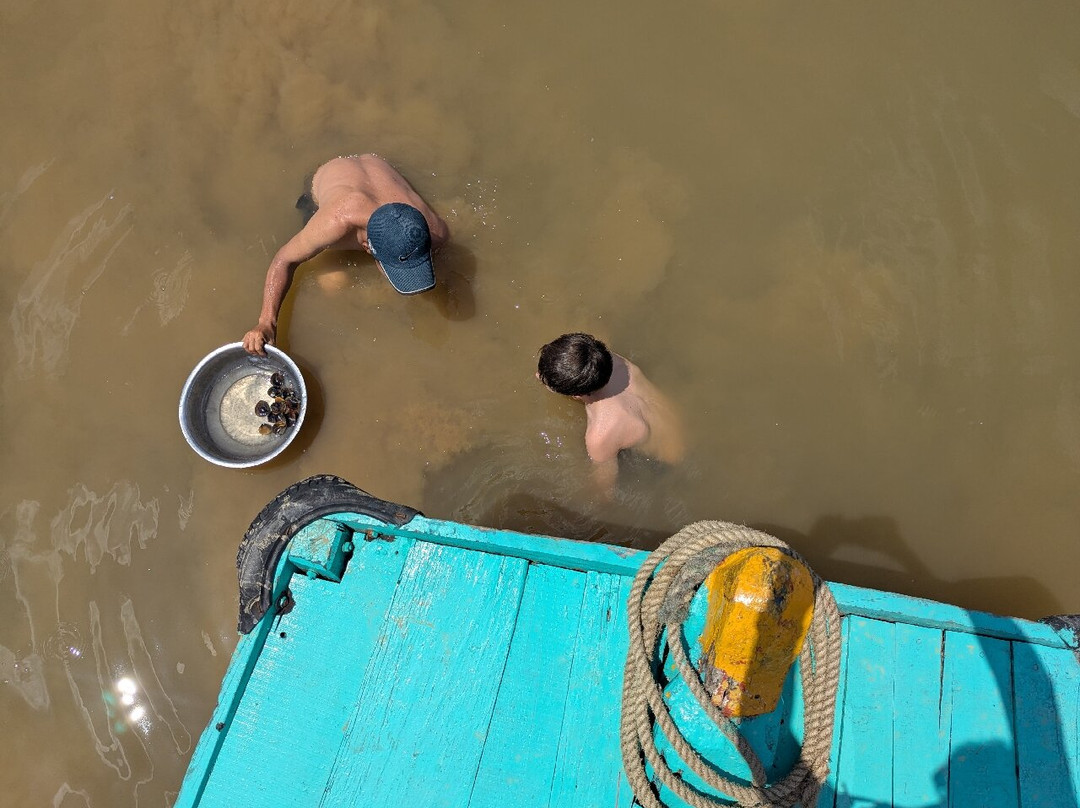 Onion Phi Tours Hoi An-会安必去景点