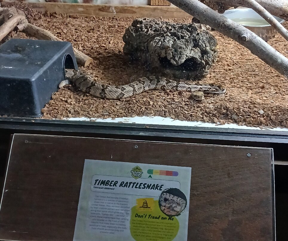 Okefenokee Swamp Park-Waycross必去景点