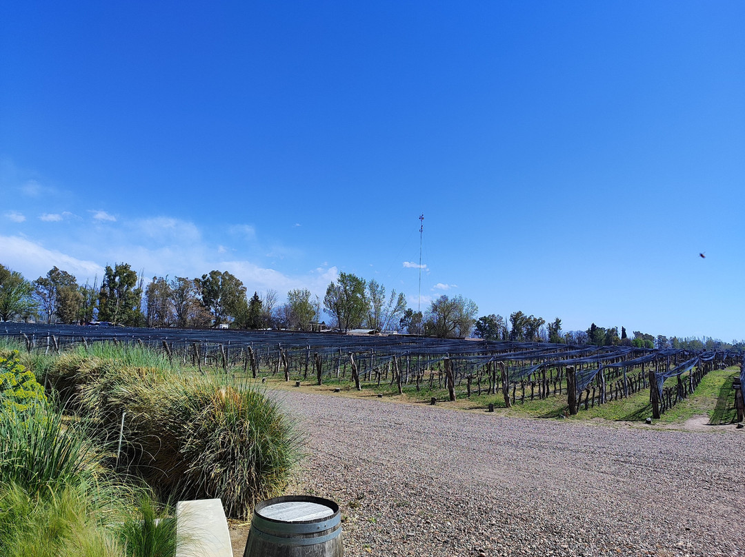 Bodega Budeguer-阿格雷洛必去景点