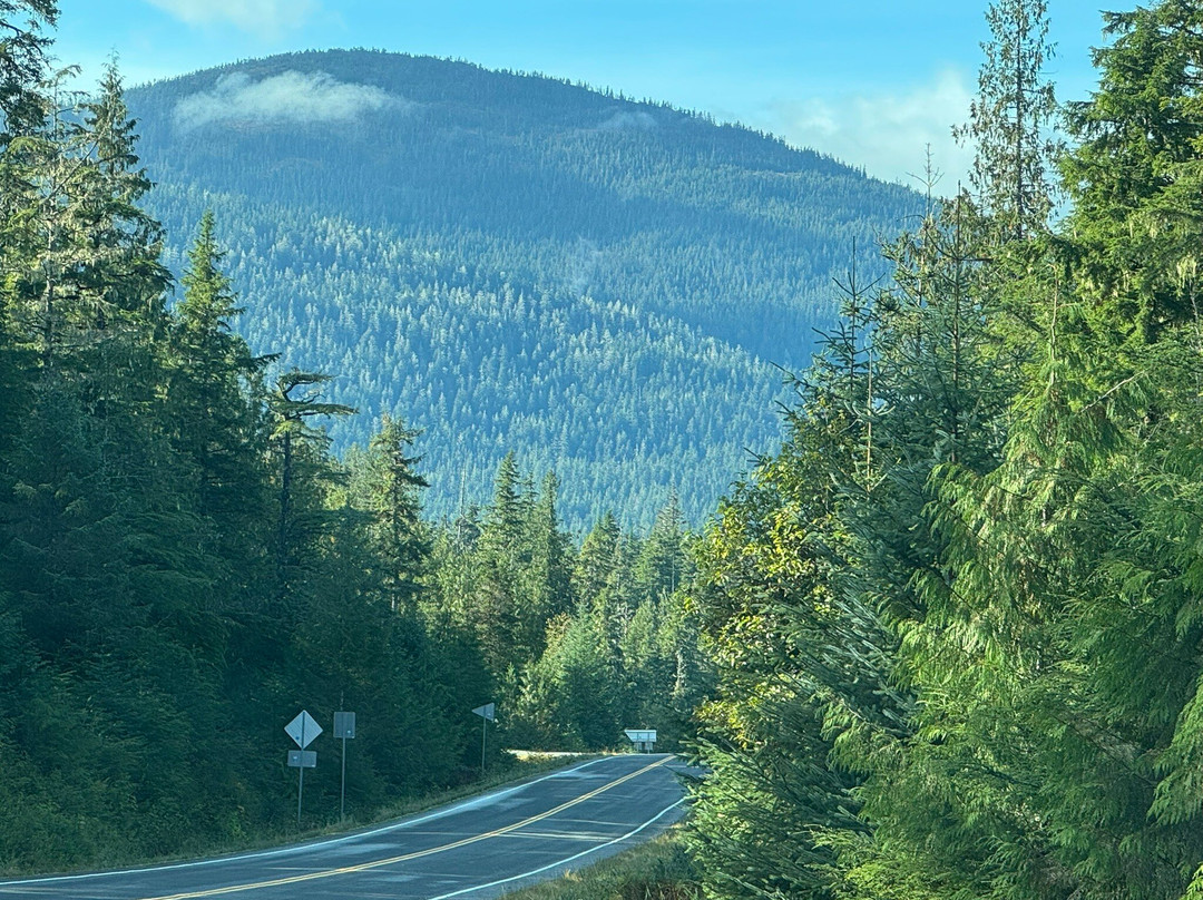 Grand View Bed and Breakfast主图