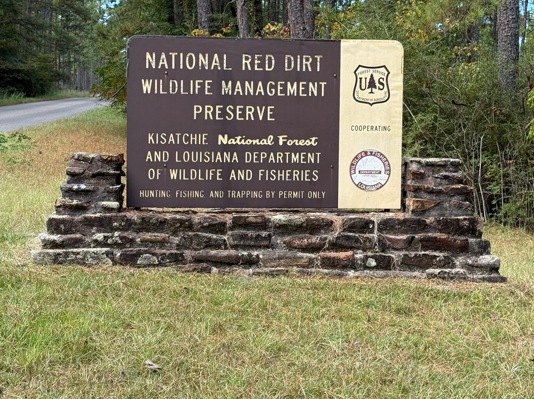 Kisatchie National Forest-Provencal必去景点
