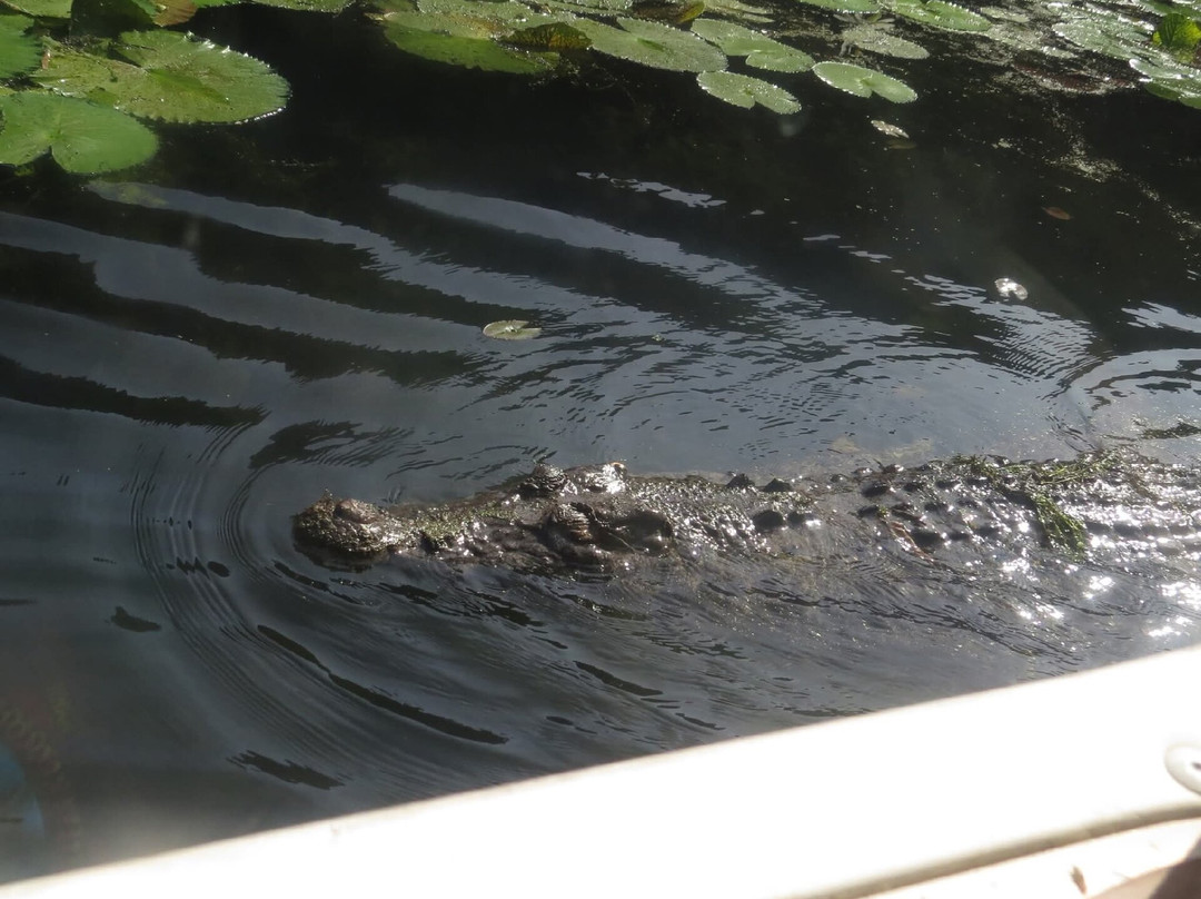 Hartley's Crocodile Adventures-Wangetti必去景点