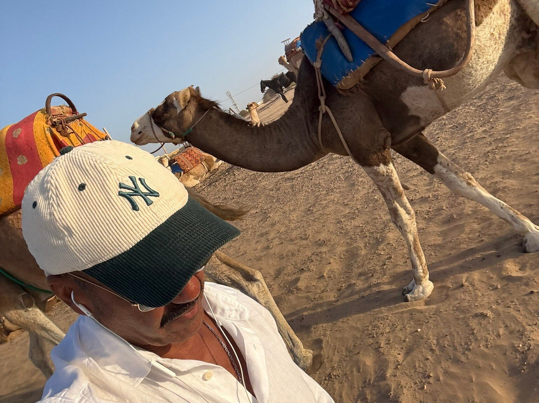 Essaouira Beach-索维拉必去景点