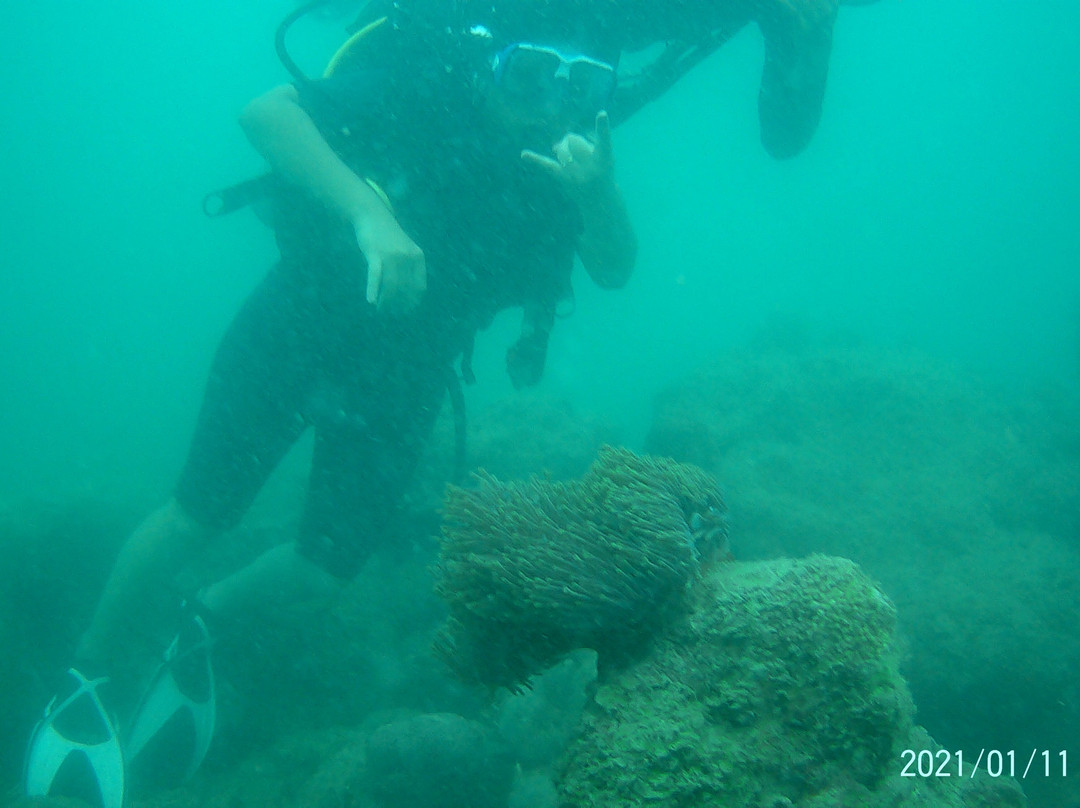 Andaman Shells-布莱尔港必去景点