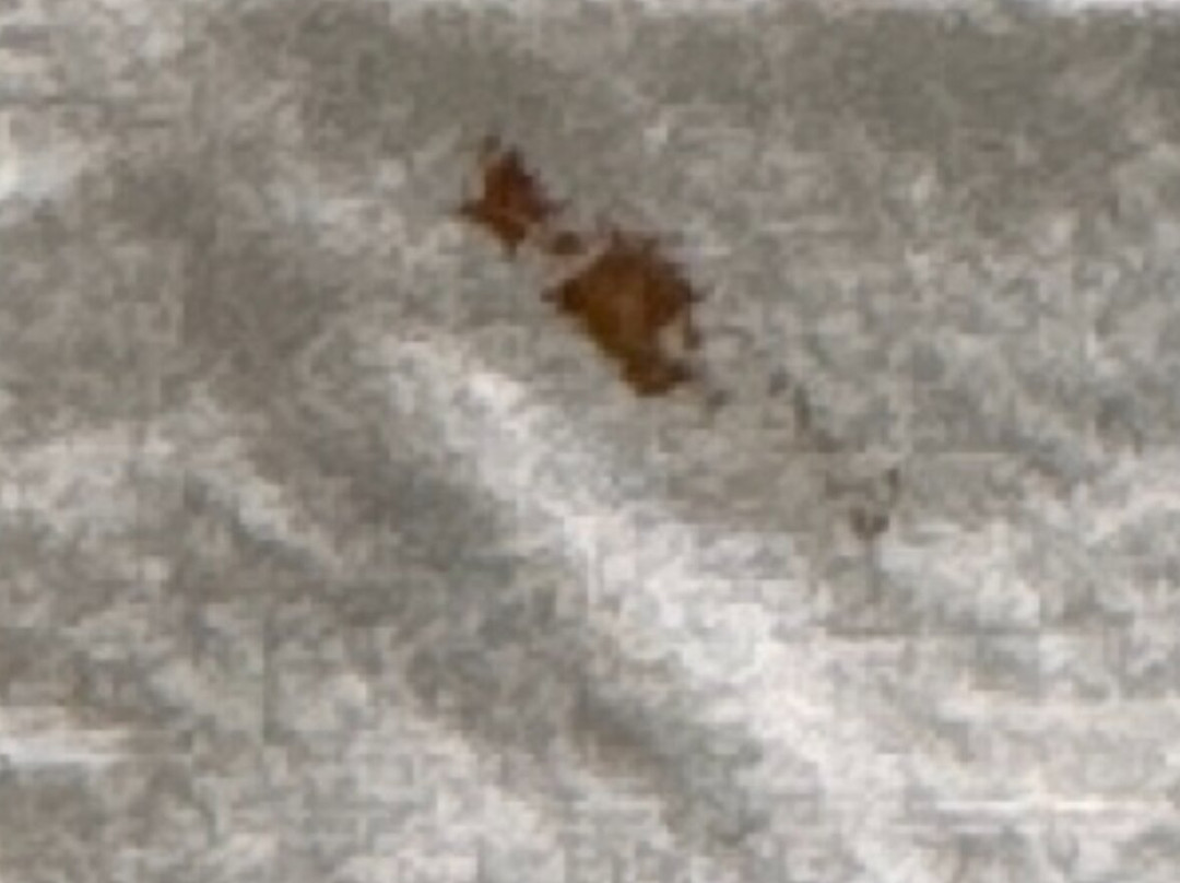 Gray Plaza West Frankfort