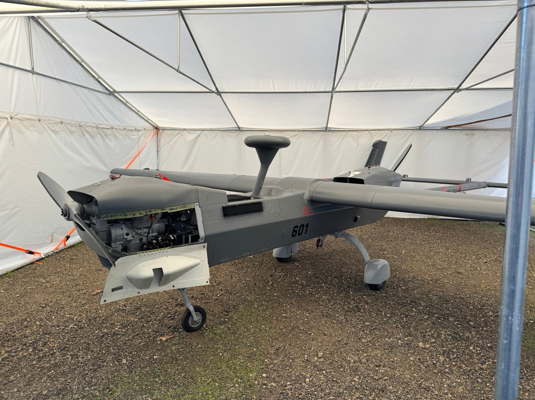 Espace Patrimonial Rozanoff-Mont-de-Marsan必去景点