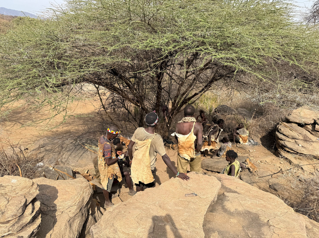 Sima Safari Limited-桑给巴尔市必去景点