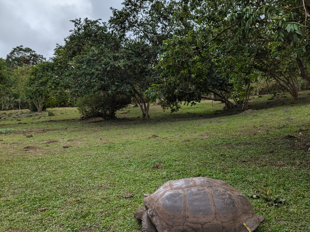 Rancho Primicias-圣克鲁斯必去景点