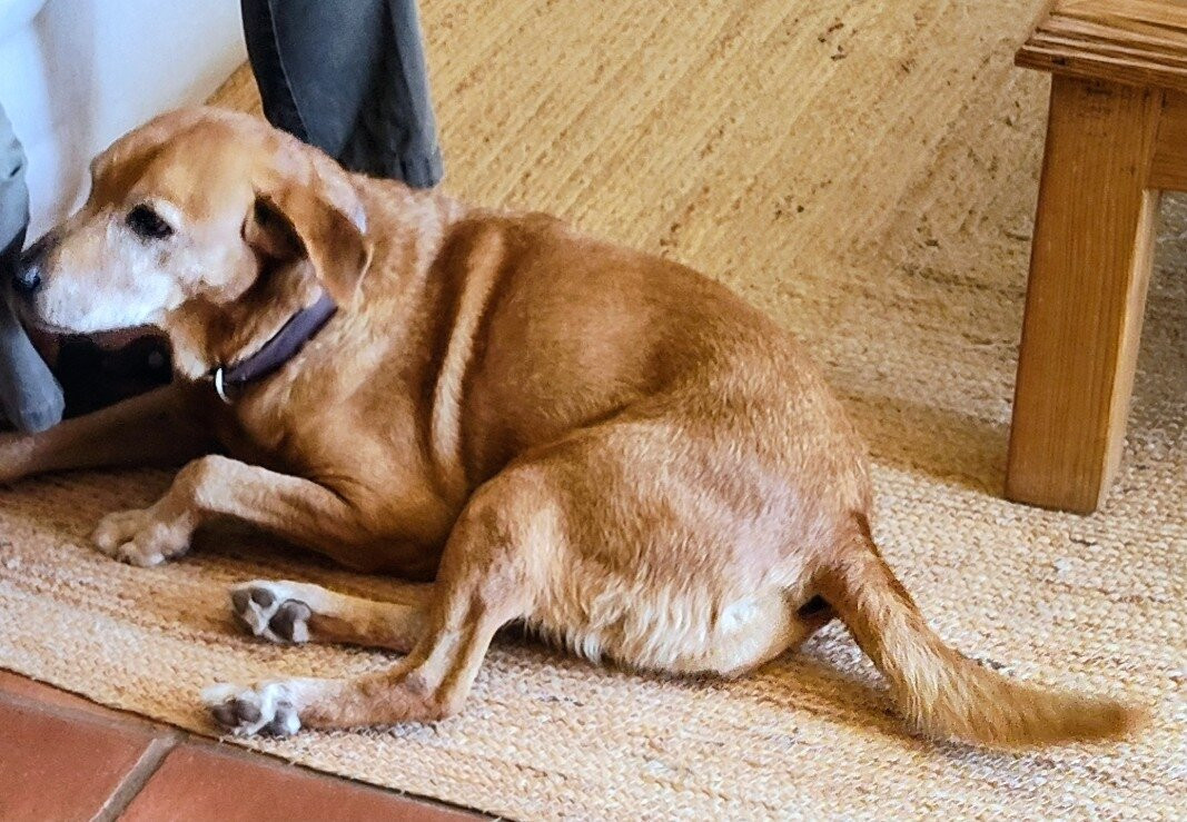 Taste Algarve - Day Lessons-塔维拉必去景点