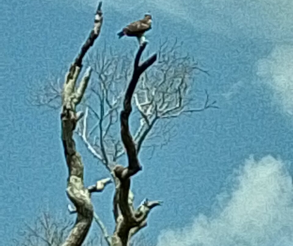 Hurulu Eco Park-哈巴拉娜必去景点