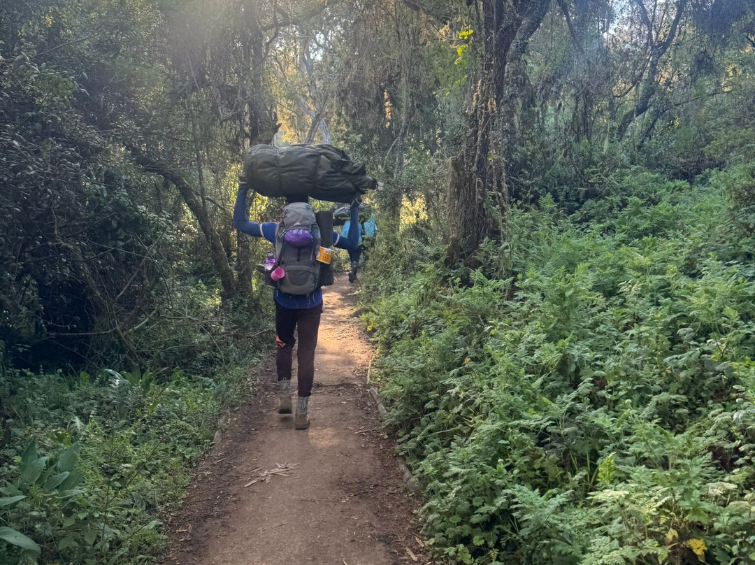Peak Expeditions Tanzania-阿鲁沙必去景点