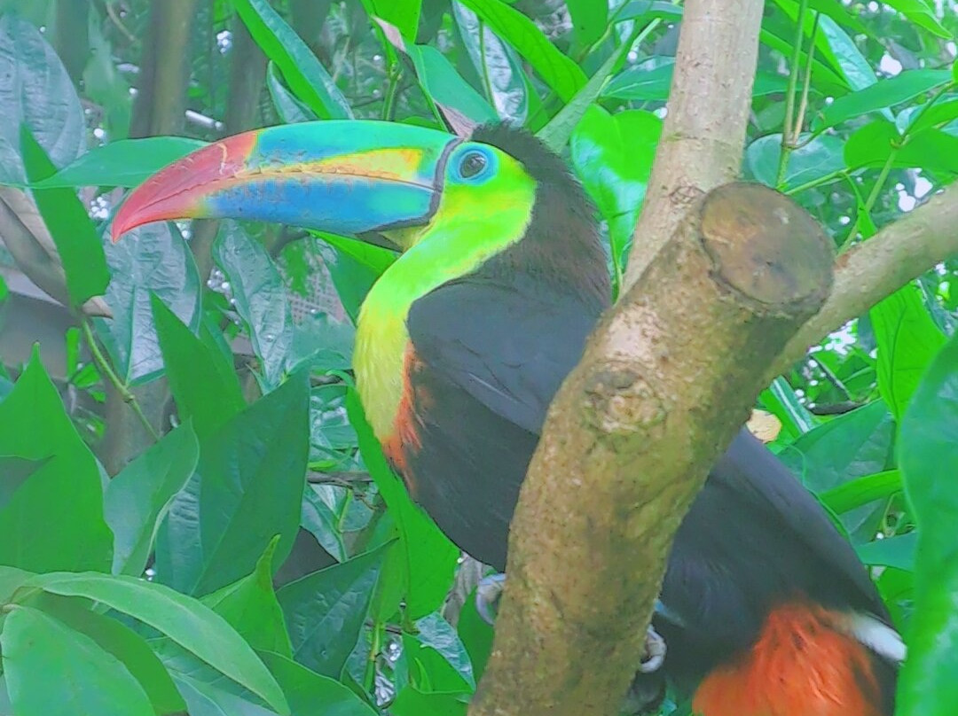 Papiliorama-Kerzers必去景点