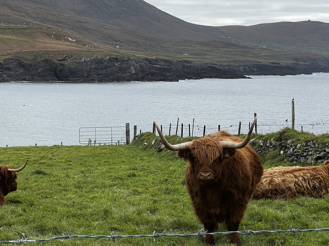 Kerry Experience Tours-Sneem必去景点