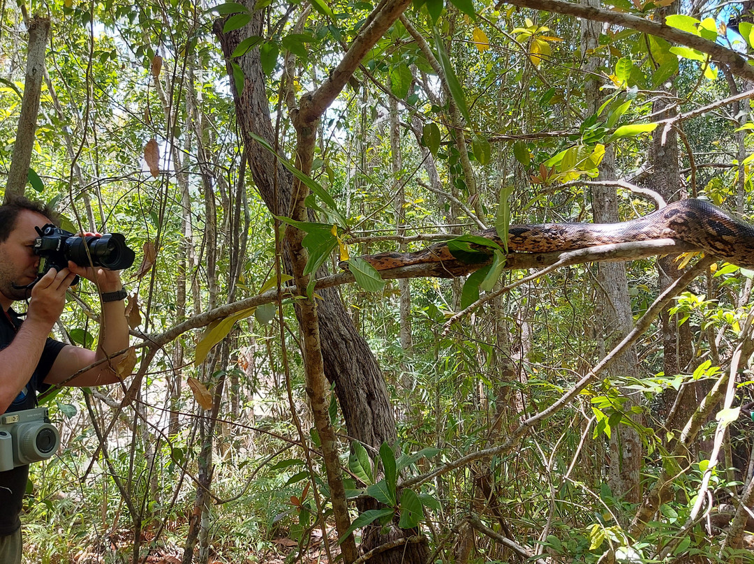 Best Trip Nosybe Madagascar-Madirokely必去景点