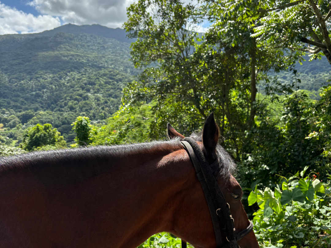 La Vista Rides-Rio Grande必去景点