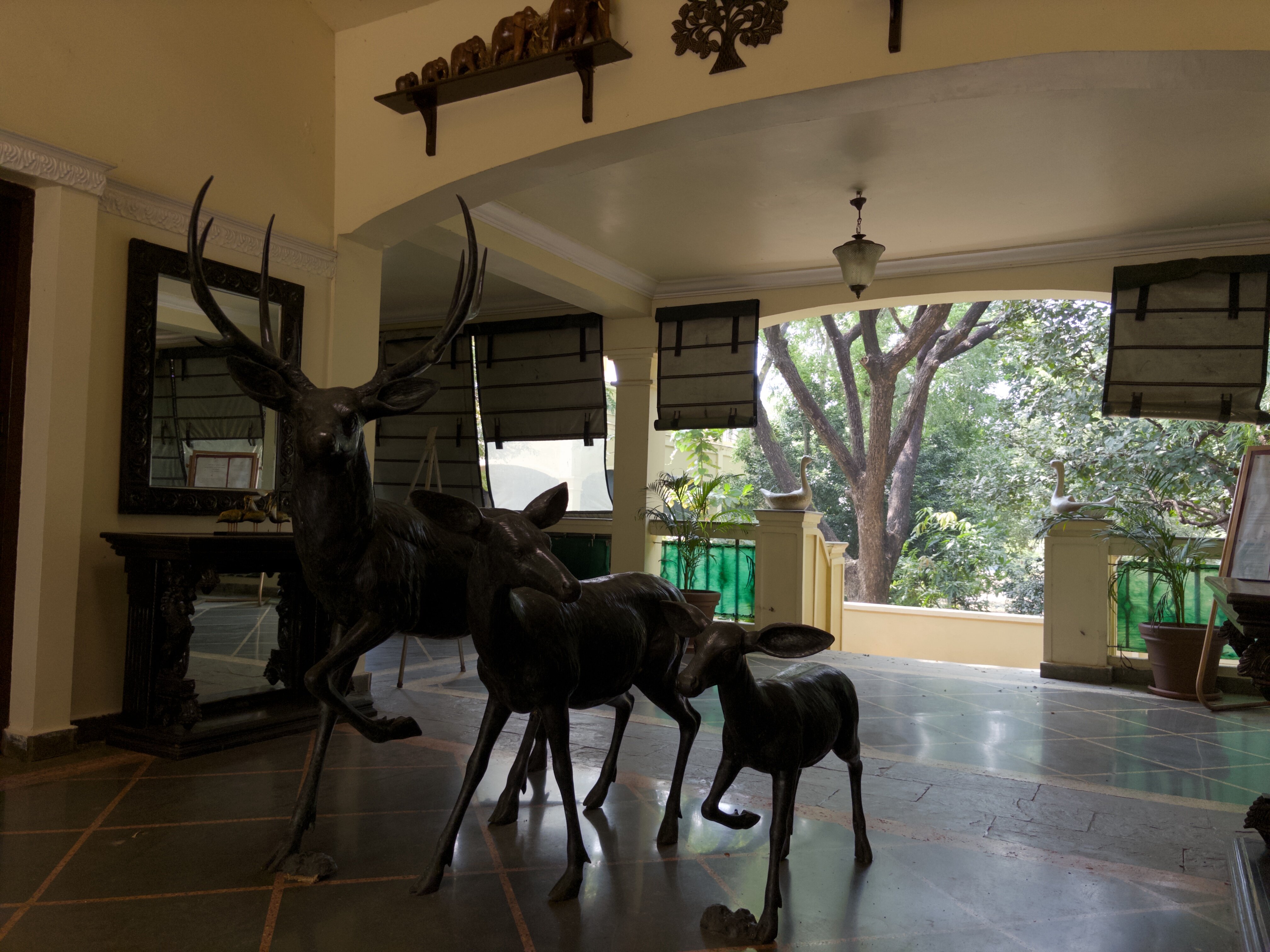 Irai Safari Retreat-官方