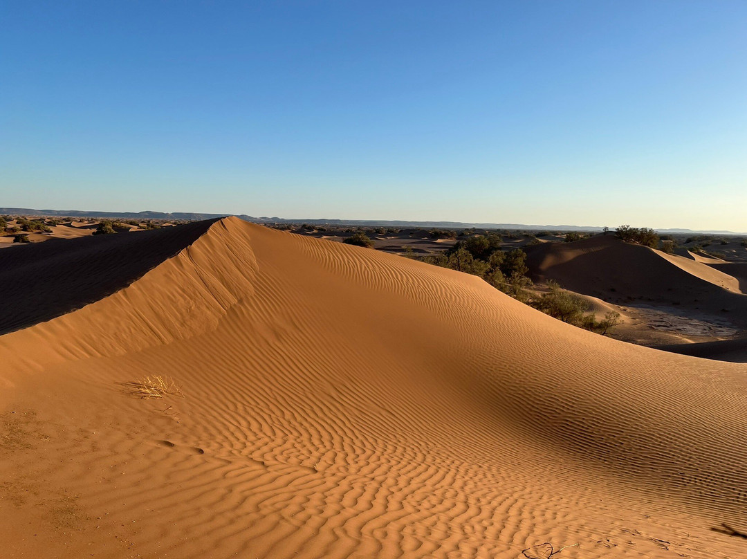 Mélodie du désert-迈哈米德必去景点