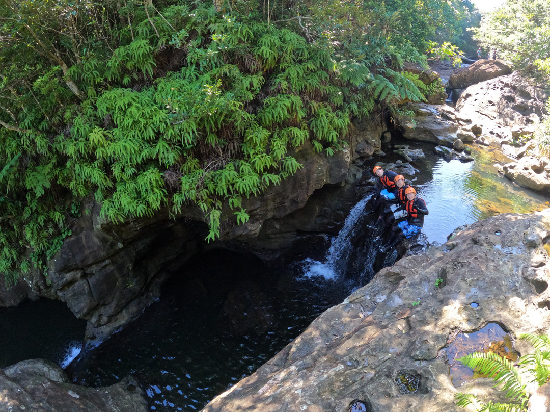 Motti Iriomote Island Trekking Eco Tour-竹富町西表岛必去景点