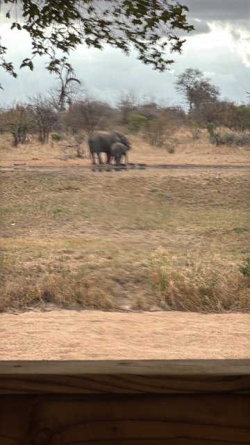 Senalala Safari Lodge-浴室