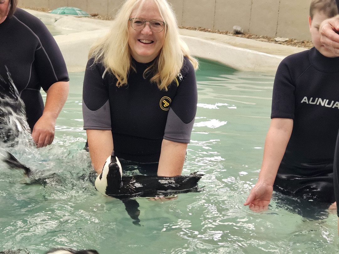 Tanganyika Wildlife Park-Goddard必去景点