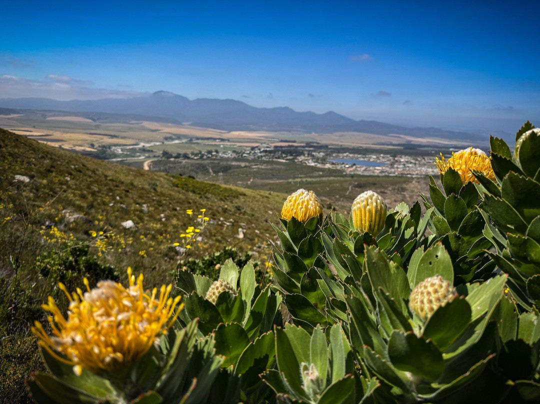 Green Mountain Trail-Elgin必去景点