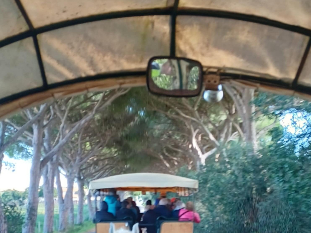 Carrozze di Maremma-Alberese必去景点