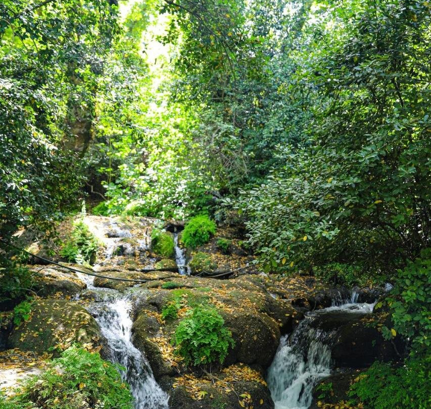 Selale Cennet Evleri