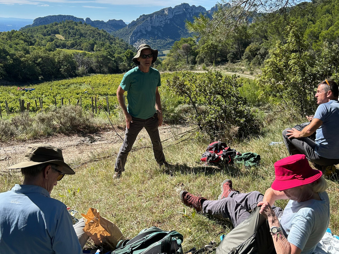 Mountain Travel Sobek-埃默里维尔必去景点