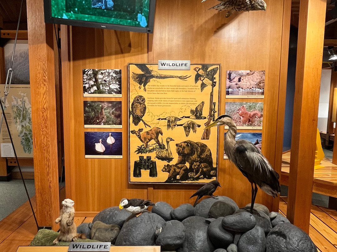 Southeast Alaska Discovery Center-凯奇坎必去景点