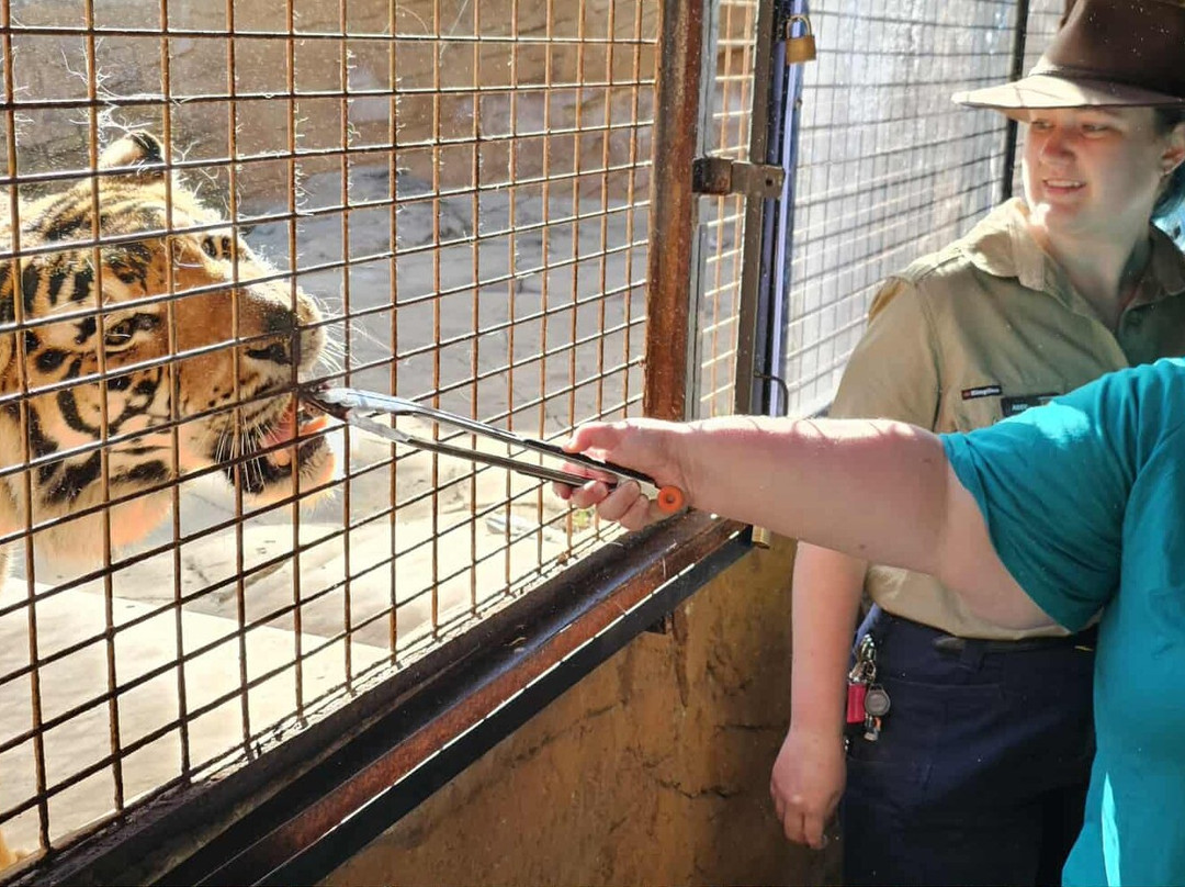 国家动物园及水族馆-堪培拉必去景点