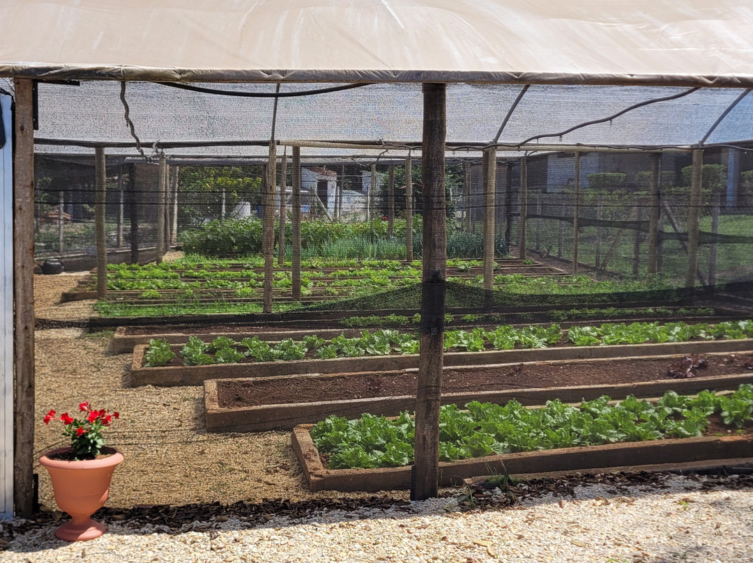 Hotel Fazenda M1主图