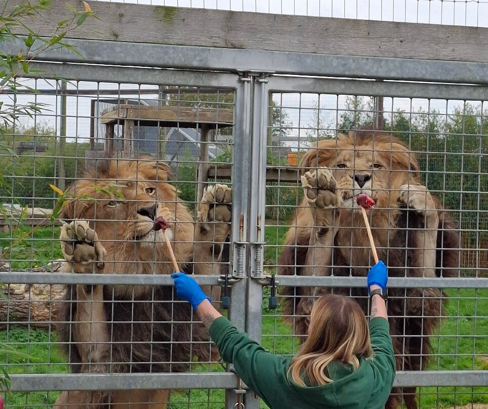 Wolds Wildlife Park-Horncastle必去景点