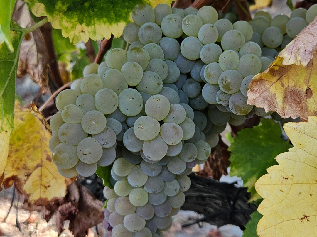 Quinta da Faísca-Favaios必去景点