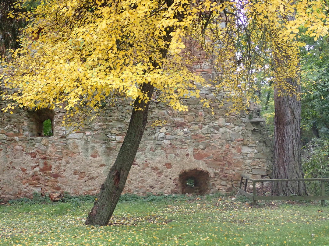 Burgruine Landsee-Landsee必去景点