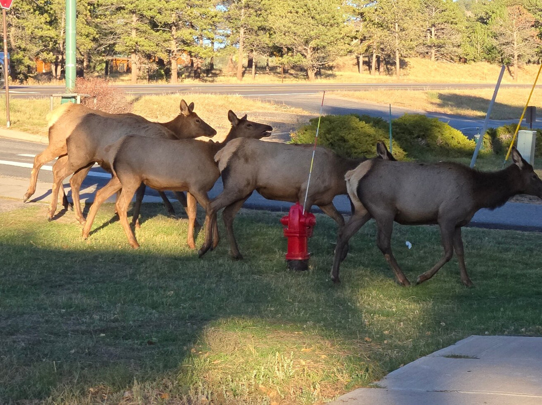 Estes Mountain Inn主图