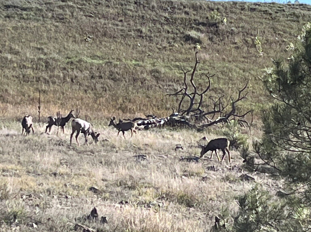 Elk Trace Bed & Breakfast主图