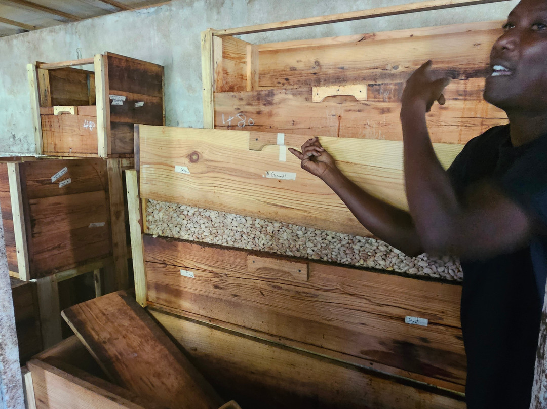 Belmont Estate Grenada-Belmont必去景点