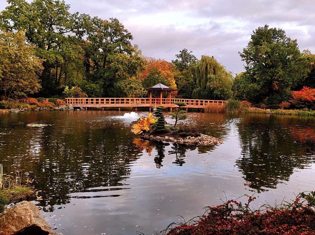 Japanese Garden - Szczytnicki Park-弗罗茨瓦夫必去景点