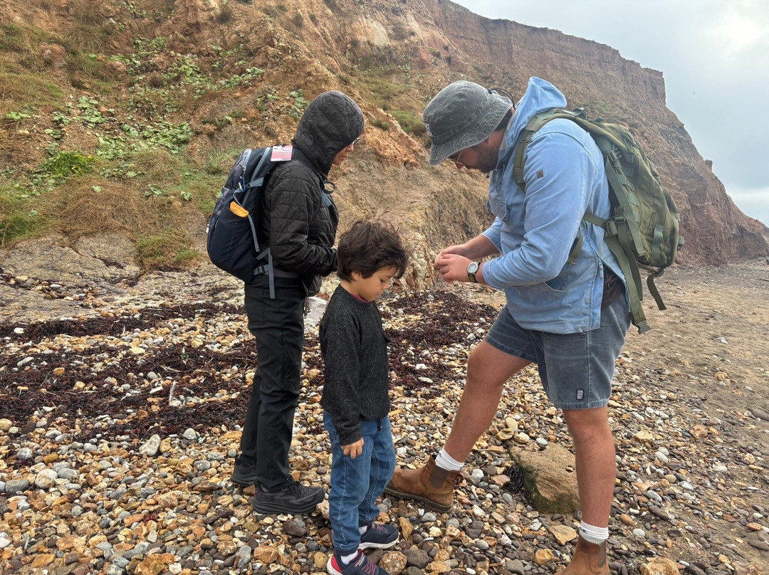 Isle of Wight Fossil Walks- Wight Coast Fossils-文特诺必去景点