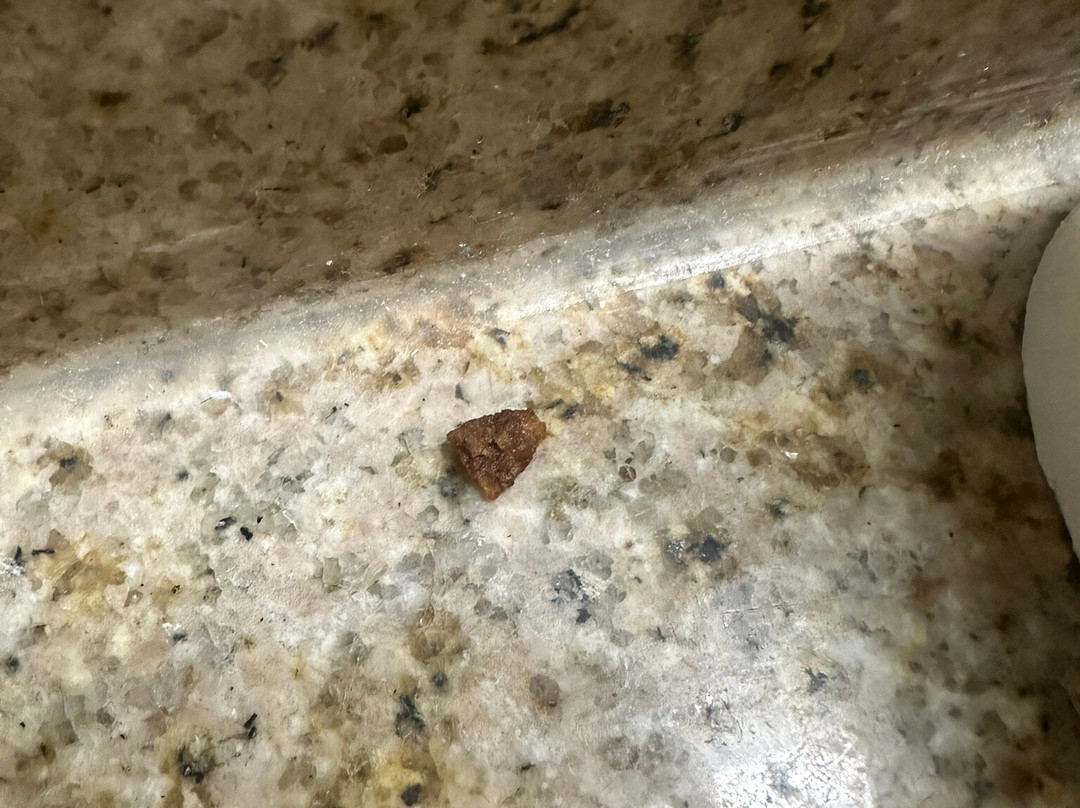 American Inn & Suites Metro Airport主图