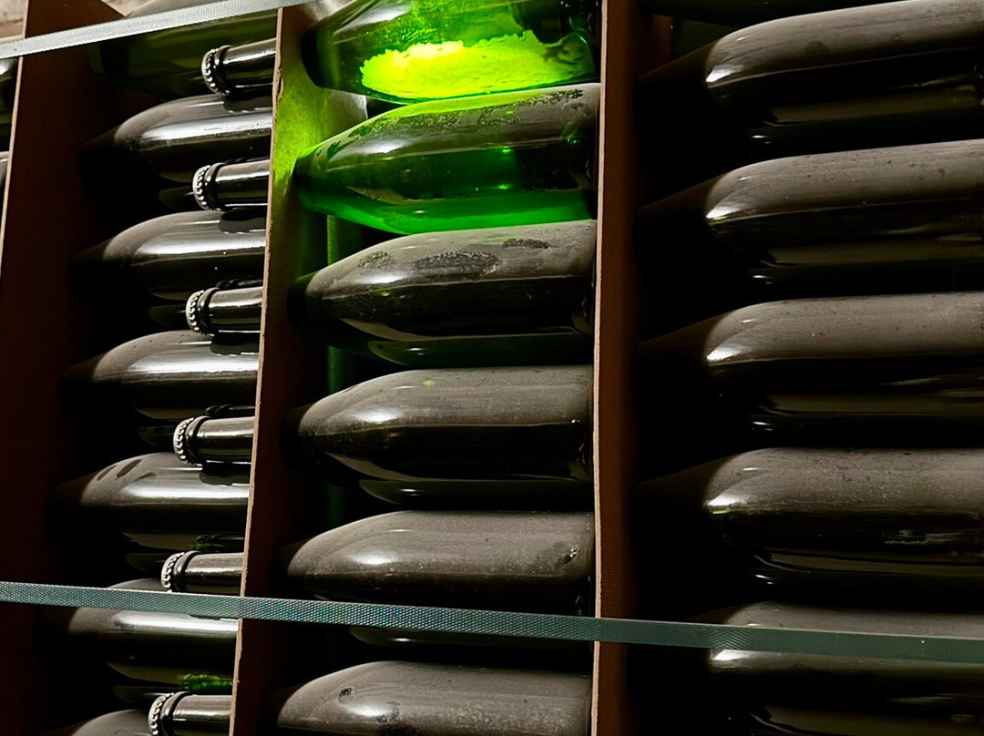 Cava Sola Raventos-桑特萨杜尔尼达诺亚必去景点